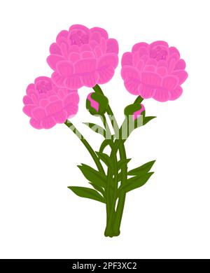 Bouquet de pivoines roses, illustration colorée Illustration de Vecteur