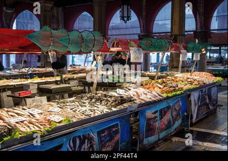 Venise, Italie- 25 février 2023: Poissons frais exposés au marché aux poissons du Rialto à Venise, Italie, 2023: Le marché aux poissons du Rialto à Venise, Italie Banque D'Images