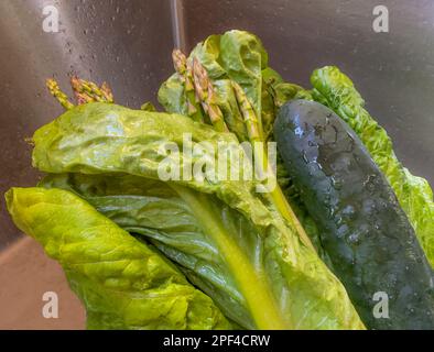 L'image macro gros plan montre les légumes verts en position verticale dans l'évier, frais, lavés et prêts. Les asperges, la laitue romaine et le concombre peuvent être utilisés pour la cuisson et la salade. Banque D'Images