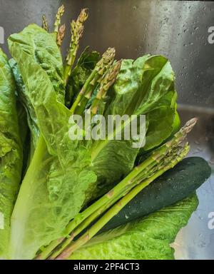 L'image macro gros plan montre les légumes verts en position verticale dans l'évier, frais, lavés et prêts. Les asperges, la laitue romaine et le concombre peuvent être utilisés pour la cuisson et la salade. Banque D'Images