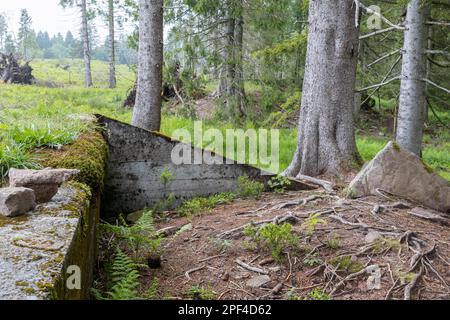 Vestiges des ruines d'Adolf Hitlers Tannenberg Fuehrer quartier général sur Kniebis, le site a été détruit après la guerre, Forêt Noire, Baiersbronn Banque D'Images