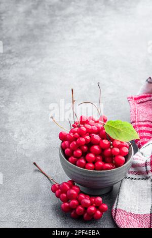 Schisandra chinensis fruit herbacé médicinal avec feuille sur fond gris Banque D'Images