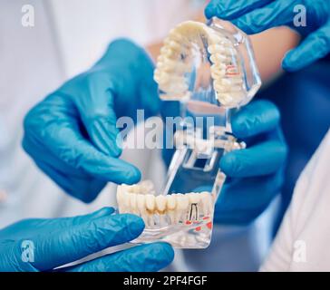 En regardant dans la bouche humaine. un dentiste tenant une prothèse dentaire. Banque D'Images