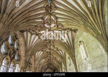 L'image est du plafond voûté le long du passage des cloîtres au célèbre site du patrimoine mondial de la cathédrale Christ Church de Canterbury dans le Kent. Banque D'Images