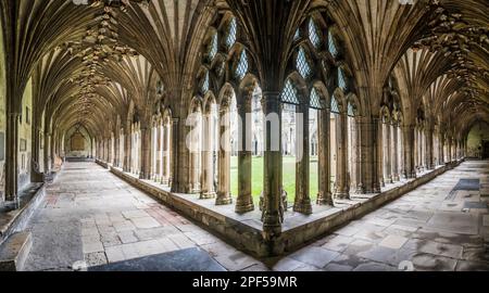 L'image est du passage couvert des cloîtres au célèbre site du patrimoine mondial de la cathédrale Christ Church de Canterbury dans le Kent. Banque D'Images