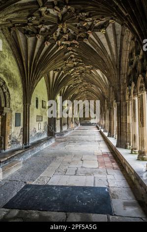 L'image est du passage couvert des cloîtres au célèbre site du patrimoine mondial de la cathédrale Christ Church de Canterbury dans le Kent. Banque D'Images