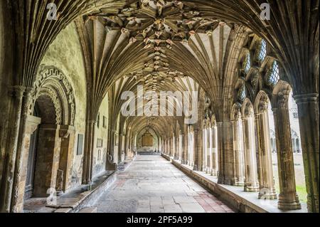 L'image est du passage couvert des cloîtres au célèbre site du patrimoine mondial de la cathédrale Christ Church de Canterbury dans le Kent. Banque D'Images