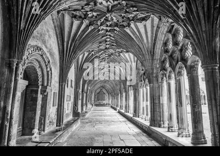 L'image est du passage couvert des cloîtres au célèbre site du patrimoine mondial de la cathédrale Christ Church de Canterbury dans le Kent. Banque D'Images