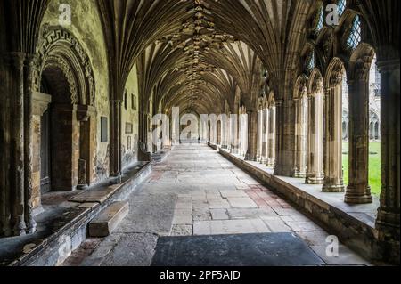 L'image est du passage couvert des cloîtres au célèbre site du patrimoine mondial de la cathédrale Christ Church de Canterbury dans le Kent. Banque D'Images