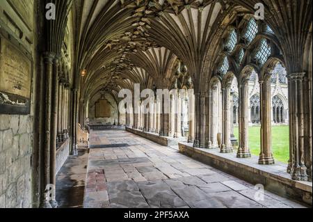 L'image est du passage couvert des cloîtres au célèbre site du patrimoine mondial de la cathédrale Christ Church de Canterbury dans le Kent. Banque D'Images