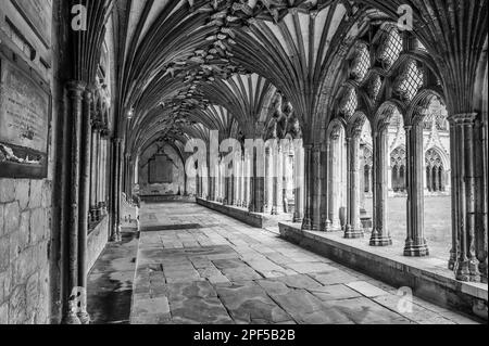 L'image est du passage couvert des cloîtres au célèbre site du patrimoine mondial de la cathédrale Christ Church de Canterbury dans le Kent. Banque D'Images