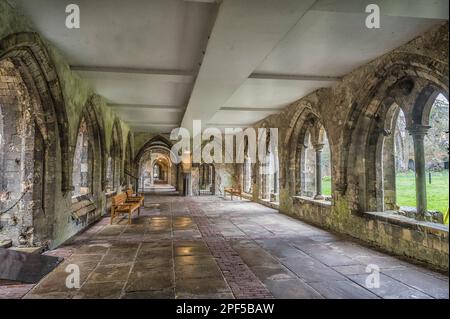 L'image est du passage couvert des cloîtres au célèbre site du patrimoine mondial de la cathédrale Christ Church de Canterbury dans le Kent. Banque D'Images