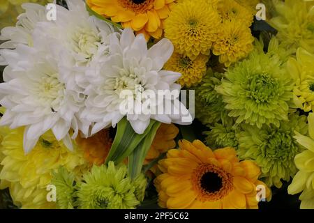 Gros plan d'un bouquet de fleurs principalement jaunes et blanches. Banque D'Images