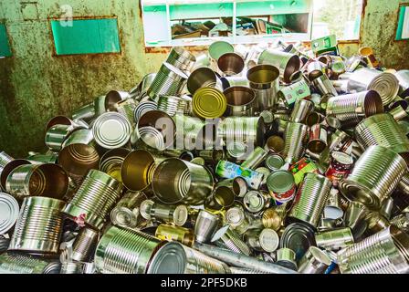 Bac de recyclage rempli de boîtes de conserve au centre de recyclage de Sitka, Alaska, États-Unis. Banque D'Images