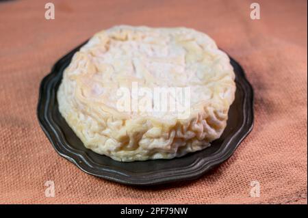 Collection de fromages français, fromage de lait de vache Saint-Marcellin à moule blanc de la région Rhône-Alpes Banque D'Images