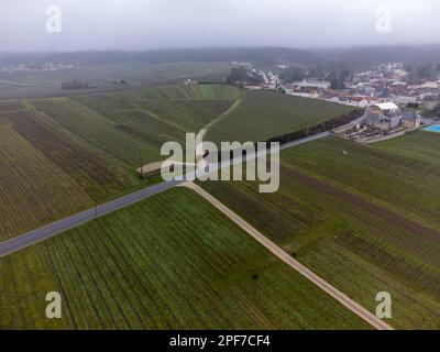 Vue aérienne panoramique d'hiver sur un paysage nuageux, vignobles de vallée près du village de champagne Ludes Premier cru près d'Epernay, production de vin en France Banque D'Images