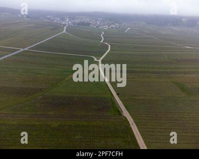 Vue aérienne panoramique d'hiver sur un paysage nuageux, vignobles de vallée près du village de champagne Ludes Premier cru près d'Epernay, production de vin en France Banque D'Images