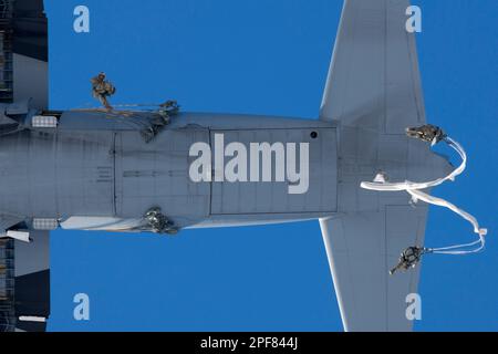 7 mars 2023 - base commune Elmendorf-Richardson, Alaska, États-Unis - États-Unis Les parachutistes de l'armée affectés à l'équipe de combat de la Brigade d'infanterie 2nd (Airborne), 11th Airborne Division, sautent d'un américain Air Force C-130J Super Hercules de l'aile Airlift 19th, base aérienne de Little Rock, Arkansas, lors d'un saut de femmes dans la zone de chute de Malemute, base conjointe Elmendorf-Richardson, Alaska. L'opération aérienne a eu lieu en reconnaissance du mois de l'histoire des femmes, et Marchked le premier saut toutes-femelle dans l'histoire de division. Chaque bataillon du 2/11 était représenté au saut, ainsi que des membres de la Division St Banque D'Images