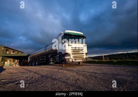 Camion Scania tirant une remorque-citerne se charge de lait d'une ferme laitière dans le South Yorkshire par une journée nuageuse en hiver Banque D'Images