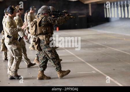 Les Marine Raiders du 3rd Marine Raider Battalion et les Marines du 1st Bataillon, 8th Marines, effectuent des exercices de tir au Camp Lejeune, Caroline du Nord, du 28 août au 9 septembre 2022. La formation comprenait des exercices statiques et mobiles, des exercices de dégagement pour une ou plusieurs pièces et des courses complètes en équipe. Cela permet une meilleure intégration entre les forces d'opérations spéciales et la Force maritime de la flotte afin d'unir les efforts tactiques et opérationnels et de créer une interdépendance sur le champ de bataille et pour l'environnement opérationnel futur. (É.-U. Photo du corps marin par le Sgt Jesula Jeanlouis) Banque D'Images