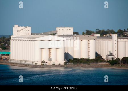 Silos à tour massive pour le stockage des grains Banque D'Images