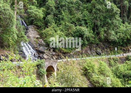 Newell Falls le long de Waterfall Way dans le parc national de Dorrigo Banque D'Images