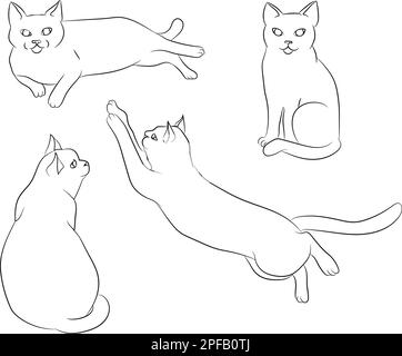 Joli chat blanc dessiné à la main dans différentes positions. Ensemble de positions de chat. Pose de chat. Chats. Esquisse. Illustration vectorielle Illustration de Vecteur