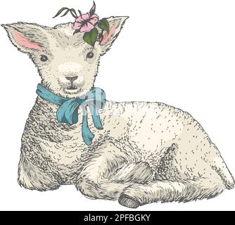Agneau mignon de Pâques dessiné à la main avec fleurs illustration vectorielle. Petit animal avec bouquet de fleurs de printemps. Style engraving des fêtes coloré Illustration de Vecteur