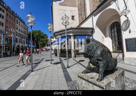 Vieille ville de Munich : sculpture de sanglier à Theatinerstrasse, Allemagne Banque D'Images