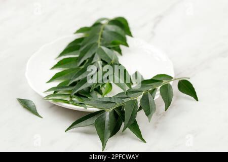 Feuilles de curry de Salam Koja fraîches ou Kadi Patta Daun Kari, sur la PLAE blanche, sur la table blanche. Isolé Banque D'Images