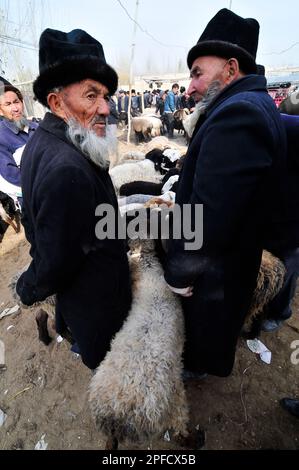 Uyghur avec leurs moutons et leurs bovins sur un grand marché hebdomadaire local de bétail dans la banlieue de Kashgar, Xinjiang, Chine. Banque D'Images