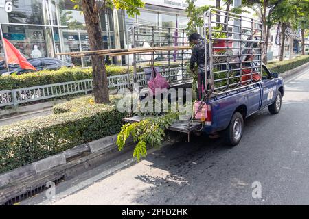 SAMUT PRAKAN, THAÏLANDE, FÉVRIER 04 2023, les travailleurs travaillent sur des usines le long d'une rue dans la ville Banque D'Images