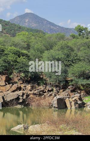 paysage de montagne pittoresque de plateau de décan, luxuriant vert de la chaîne de montagnes de ghats de l'ouest de l'hogenakkal à tamilnadu, sud de l'inde Banque D'Images