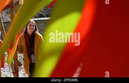 Seitenroda, Allemagne. 16th mars 2023. Ronja Beltermann, experte en tourisme, regarde les rubans colorés du palais du bambou, créé pour la magie du printemps de Leuchtenburg sur le Leuchtenburg. Avec la magie printanière de 18 mars à 14 mai 2023, le Leuchtenburg commence dans la saison. Les jardiniers et les maîtres du château ont transformé le complexe du château médiéval en un paysage coloré. Credit: Martin Schutt/dpa/Alay Live News Banque D'Images