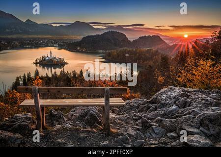 Bled, Slovénie - banc Hilltop et chaud lever de soleil d'automne doré au lac Bled avec l'église de pèlerinage de l'Assomption de Maria (île Bled), fol d'automne Banque D'Images