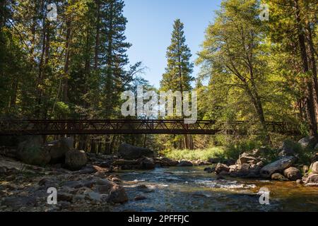 Un pont métallique sombre enjambe une rivière rocheuse et peu profonde sous de grands pins et des arbres dorés-verts baignés de soleil dans le parc national de Kings Canyon, en Californie. Banque D'Images