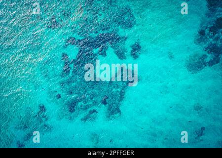 Belle vue de drone sur le fond du lac Attersee, haute-Autriche, Europe, avec ses eaux cristallines et turquoise verdâtre Banque D'Images