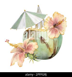 Aquarelle dessinée à la main. Cocktail de noix de coco avec parasols en papier, fleurs d'hibiscus. Isolé sur fond blanc. Décoration murale, mariage Banque D'Images
