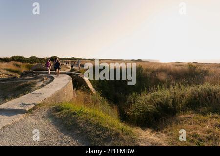 Reste d'une fosse à armes à feu à la Pointe du hoc. Côte de Normandie, entre Utah Beach et Omaha Beach (débarquement en Normandie pendant la Seconde Guerre mondiale). Normandie. France. Banque D'Images