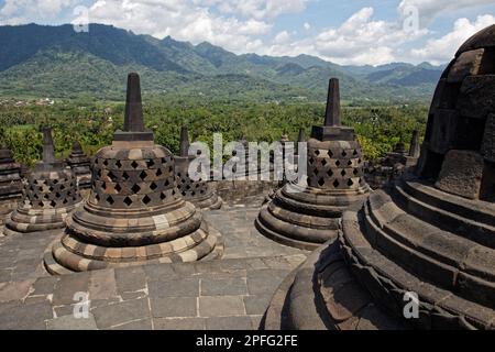 Stupas au sommet du temple Borobudur, près de Yogyakarta, centre de Java, Indonésie Banque D'Images