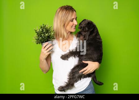 Portrait de jolie gaie et attentive fille tenant dans les mains doggy schnauzer isolé sur fond vert clair de couleur Banque D'Images