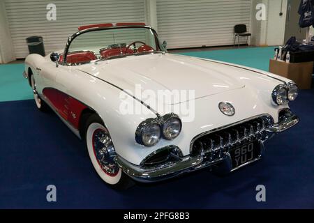 Vue des trois quarts avant d'une Corvette C1 de Chevrolet blanche, 1960, exposée au salon des voitures classiques de Londres 2023 Banque D'Images