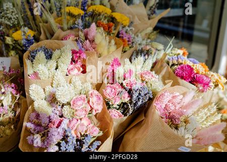 Bouquets colorés de fleurs séchées Banque D'Images