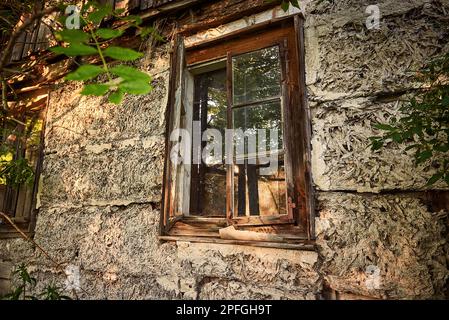 Une fenêtre dans une ancienne maison en ruine parmi les arbres et les épaissis Banque D'Images