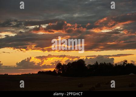 Ciel rouge instable au-dessus des champs et des arbres pendant le coucher du soleil. Banque D'Images