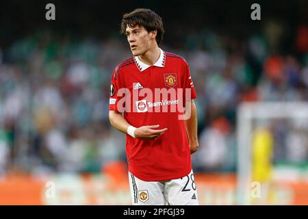 Wout Weghorst de Manchester United lors du match de l'UEFA Europa League, Round de 16, 2nd jambes, entre Real Betis et Manchester United, a joué au stade Benito Villamarin sur 16 mars 2023 à Séville, Espagne. (Photo par Antonio Pozo / PRESSIN) Banque D'Images