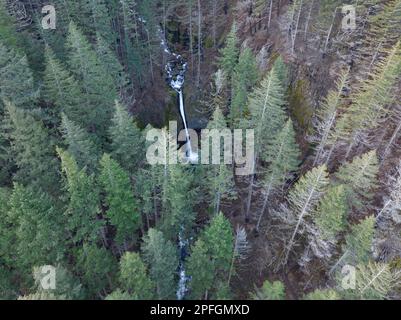 Les magnifiques chutes Horsetail sont situées du côté Oregon de la pittoresque gorge de la rivière Columbia, à environ 30 minutes en voiture à l'est de Portland. Banque D'Images