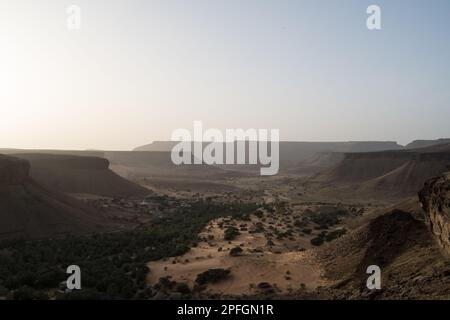 L'oasis luxuriante de Trejit, avec ses palmiers et sa verdure, prospère au milieu du paysage aride et rocheux du désert du Sahara dans la région d'Adrar, en Mauritanie. Banque D'Images