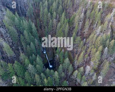 Les magnifiques chutes Horsetail sont situées du côté Oregon de la pittoresque gorge de la rivière Columbia, à environ 30 minutes en voiture à l'est de Portland. Banque D'Images