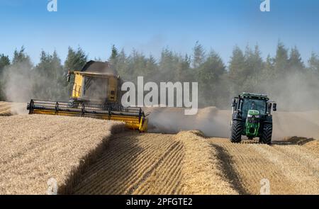 Tracteur et remorque roulant le long d'une moissonneuse-batteuse en attente de traction lorsqu'il est nécessaire de remplir la remorque. North Yorkshire, Royaume-Uni. Banque D'Images